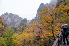 화려한 오색 단풍길-설악산 흘림골에서 오색약수까지!