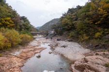 화려한 오색 단풍길-설악산 흘림골에서 오색약수까지!