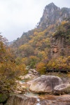 화려한 오색 단풍길-설악산 흘림골에서 오색약수까지!
