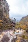 화려한 오색 단풍길-설악산 흘림골에서 오색약수까지!