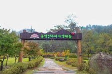  비가 와서 더 좋았던 수타사 산소길 