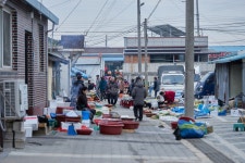지극히 미적인 시장_해남