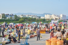 강릉 새벽시장과 양양 오일장(4, 9장)