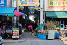 지극히 미적인 시장_고성