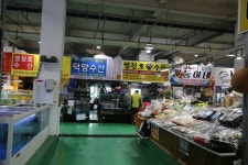 봄 도다리