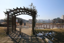 얼음왕국