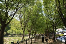 찻사발의 꿈