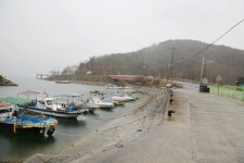창원 시락항 회