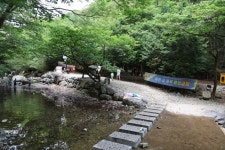 여름 맞이 피서 시작