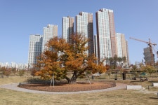 동탄신도시