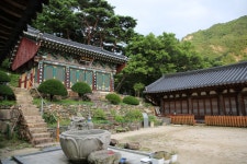 시원하고 신비한 사찰