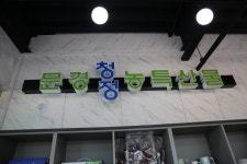 약돌돼지