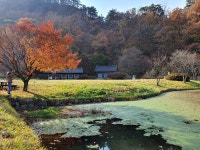 어서 와 트레킹 여행은 처음이지? 어서 와 트레킹 여행은 처음이지? 