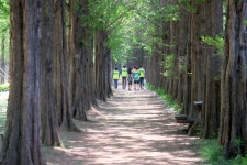 도심 속의 힐링 산책, 하늘공원
