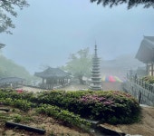 서울둘레길 5코스를 걷다.
