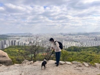 다온이와 둘레길 1코스를 완주하다.-1