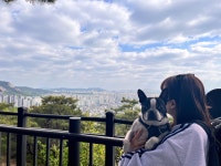 다온이와 둘레길 1코스를 완주하다.-1