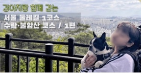 다온이와 둘레길 1코스를 완주하다.-1