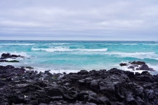 [브런치북] 세차고 아름다운 1월의 제주