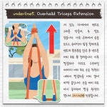 근력에는 덤벨? ‘밴드’를 늘리자!