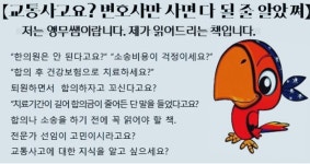 종이책 동영상