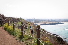 제주도 동쪽 바다의 매력 함덕 서우봉 해변 제주도 동쪽 바다의 매력  함덕 서우봉 해변