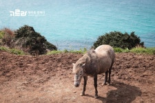 제주도 동쪽 바다의 매력 함덕 서우봉 해변 제주도 동쪽 바다의 매력  함덕 서우봉 해변