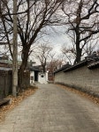 덕수궁 돌담길, 숨어있는 분위기 좋은 카페
