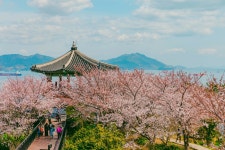 한 달 빠르게 1년 정산 한 달 빠르게 1년 정산 
