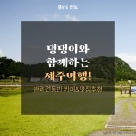 반려견과 함께 떠나는 제주여행
