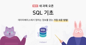 데이터 까보기의 기술, SQL