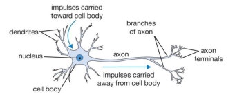 컴공생의 AI 스쿨 필기 노트 ⑥ 인공신경망