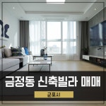 금정동신축빌라 매매 군포 금정역세권 4Bay 3룸
