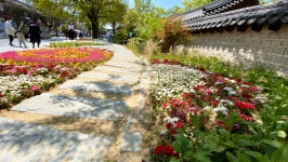20화 옷보다 꽃