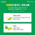 가치 있고 착한 소비! 소비도 이제 비건으로