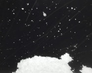 팬데믹 시대, 클래식의 위안