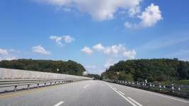 한국이 싫어서
