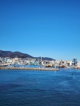 부산 영도 트레킹 1(남항대교 갈매기)