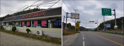 심장처럼 붉은 사과가 주렁주렁