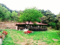 화림산방에서