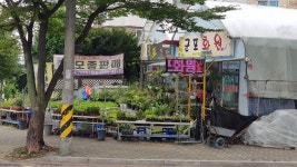 군포에서 12000보 걷기