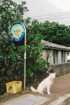 걷다 보니 제주