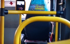 55번 마을버스