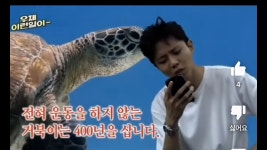 09화 운동극혐러, 저질체력이 1년간 운동을 하면 생기는 일