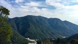 35. 쿠마노코도 순례길을 걷다.