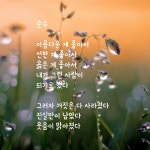 순수