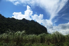 3장. 싸바이디 라오스