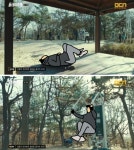 우리 동네의 쉼터,집 앞 근린공원과 약수터 체육시설