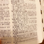 21화 밤낮없이 붙이세요!
