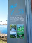 아이러니